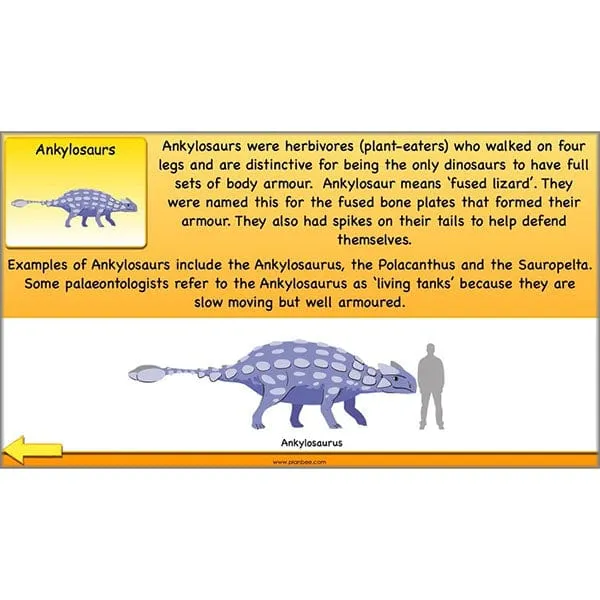 The Prehistoric World Topic (Stone Age to Iron Age)